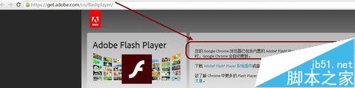 Chrome浏览器Shockwave Flash总是崩溃的两种解决办法4