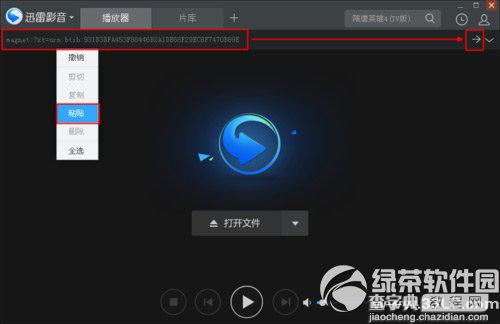 迅雷影音如何看片？迅雷看看播放器看片教程2