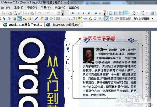 PDF中文字如何复制 如何从pdf复制文字6
