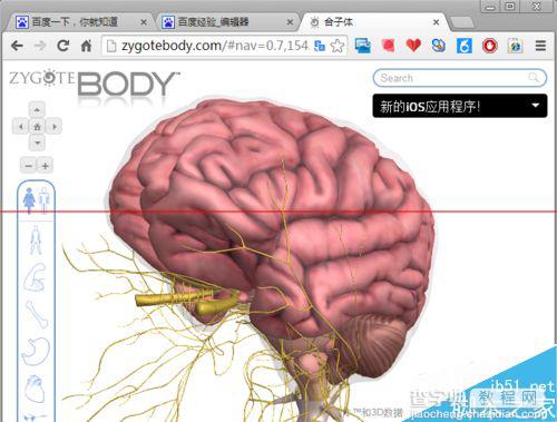 人体浏览器是什么？谷歌人体浏览器的使用方法8