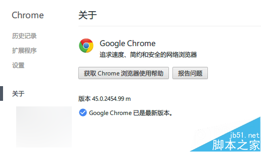 谷歌Chrome浏览器45.0.2454.99官方下载：更新Flash19.0.0.1851