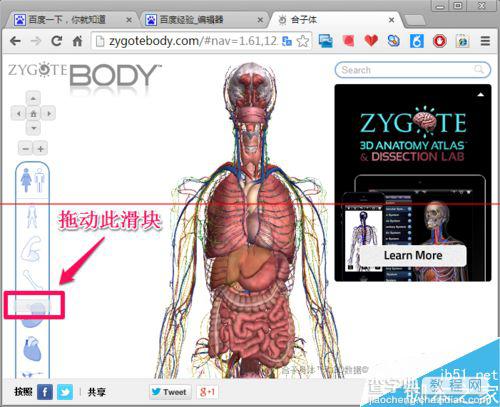 人体浏览器是什么？谷歌人体浏览器的使用方法6