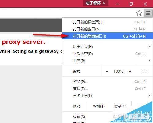 谷歌浏览器打不开网页提示Server Error 502 Bad Gateway怎么修复?2