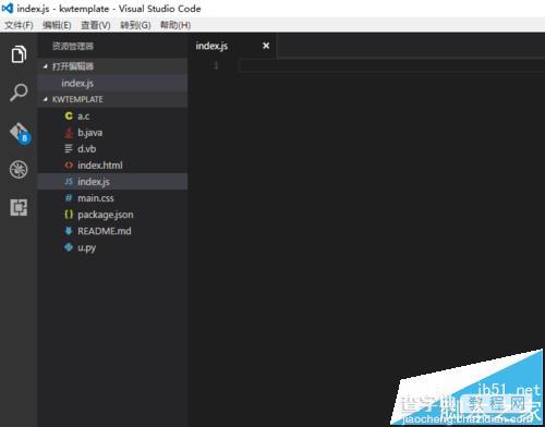 Visual Studio Code给文件添加文件图标主题的教程1