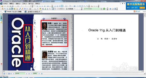 PDF中文字如何复制 如何从pdf复制文字4