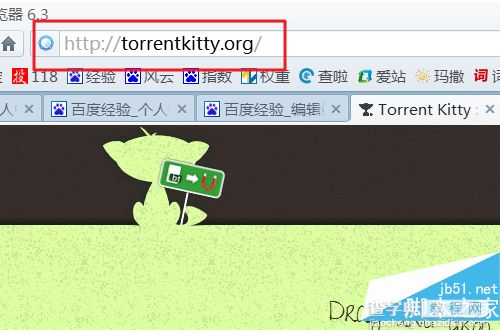 torrentkitty打不开了怎么办，怎么下载种子 torrentkitty为什么打不开2