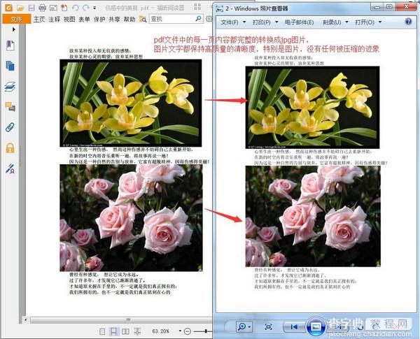 pdf格式怎么转换成jpg图片？pdf转jpg教程图解6