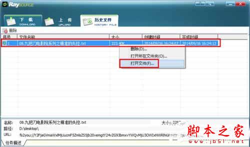 Raysource RayFile网盘专用文件下载器怎么用 Raysource使用教程9