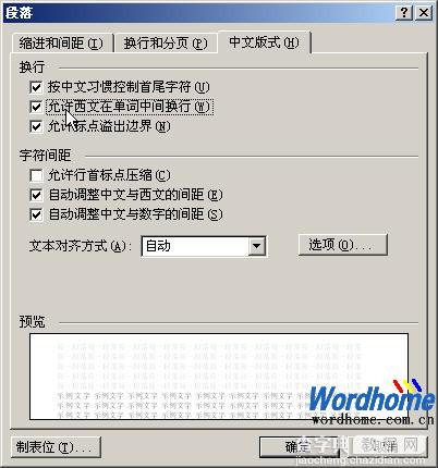 在Word2003设置Word单词换行方式1