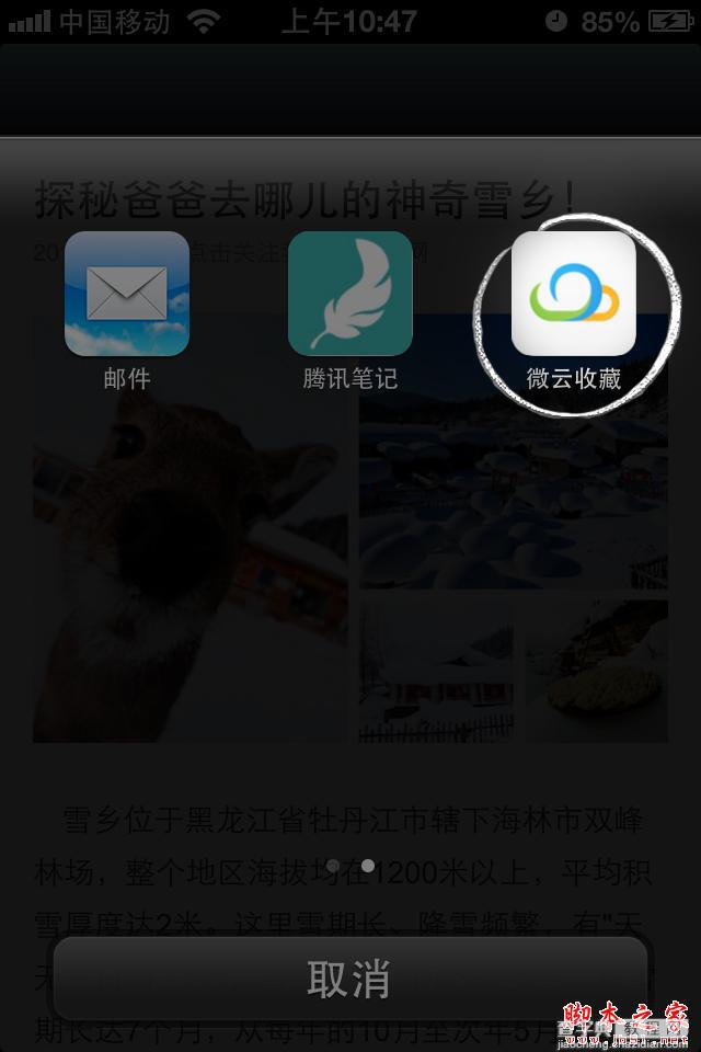 微云收藏怎么看 微云收藏网页版pc版手机版使用教程7