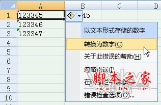 Excel2007数字格式和文本格式相互转换技巧5