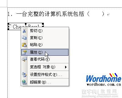 在Word2003中使用Word3