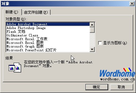 在Word中使用对象1