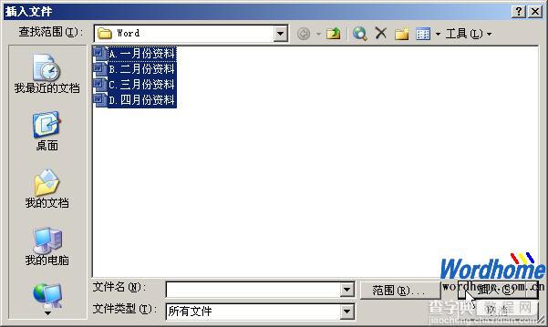 Word插入文件的顺序设置2