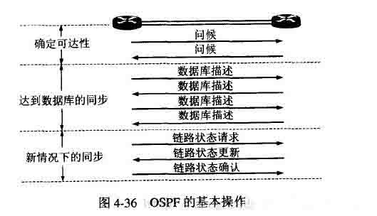 网络协议之内部网关协议OSPF2