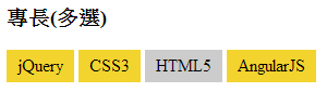 使用CSS3美化HTML表单的技巧演示5