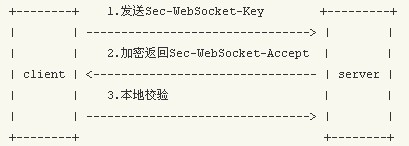 php使用websocket示例详解1