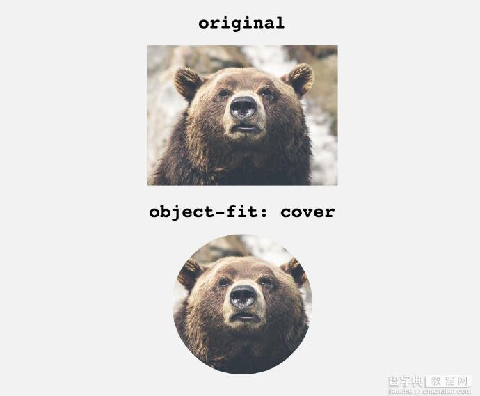 通过CSS3的object-fit来调整图片适配尺寸的技巧简介2