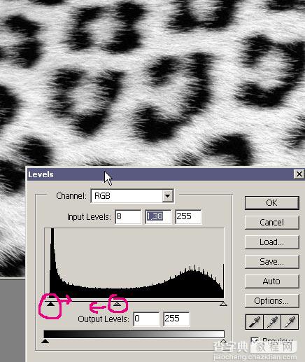 Photoshop美洲豹风格文件夹图标制作教程7