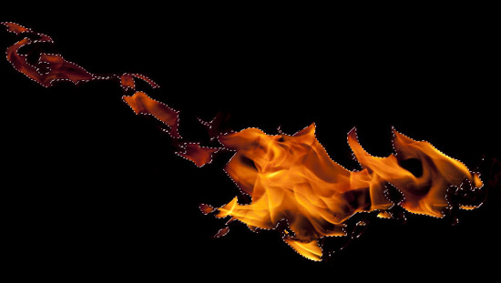 PS合成创意抽象水墨风格树木中的火焰精灵24