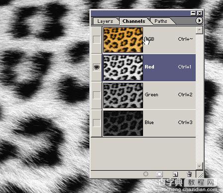 Photoshop美洲豹风格文件夹图标制作教程6