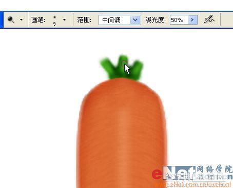 巧用Photoshop鼠绘鲜嫩的胡萝卜13