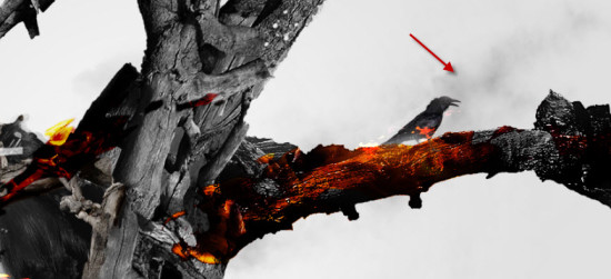 PS合成创意抽象水墨风格树木中的火焰精灵29