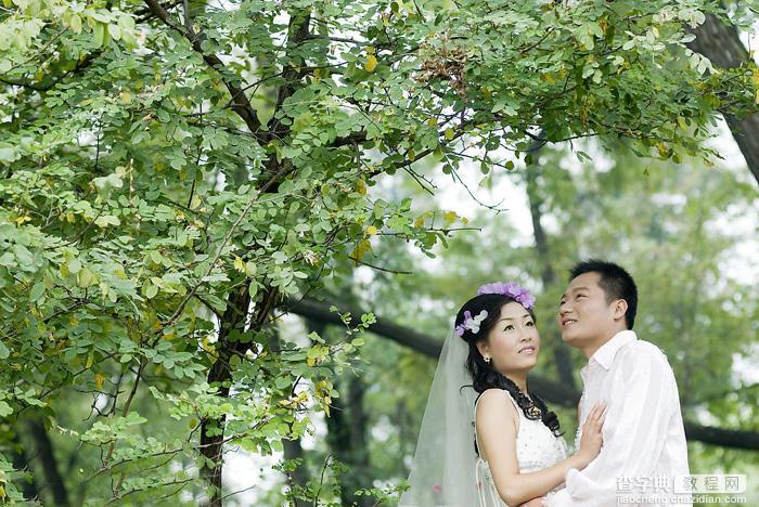 Photoshop将树林婚片打造出柔和温馨的秋季暖色调1