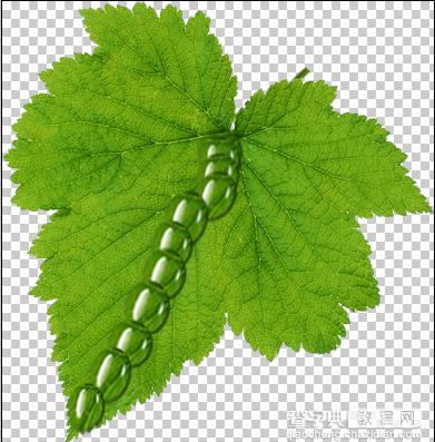 Photoshop设计制作出花瓣上滚动的水珠效果教程23