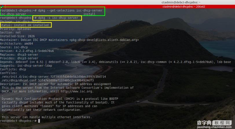 在Debian系统上安装ISC DHCP服务器的详细教程1