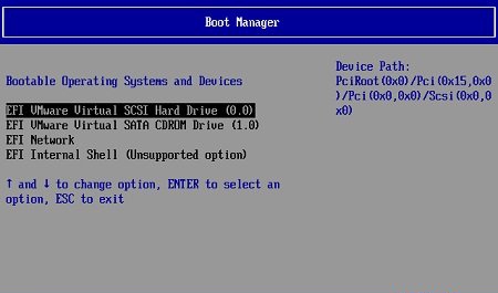 设置VMware启动进入BIOS以及对UEFI的支持6