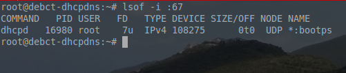 在Debian系统上安装ISC DHCP服务器的详细教程6