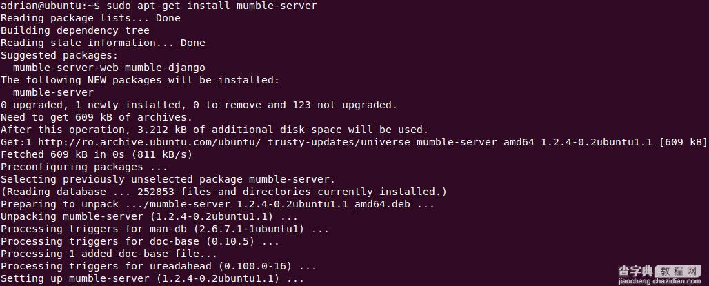 在Ubuntu系统上安装游戏通讯应用Mumble的教程1