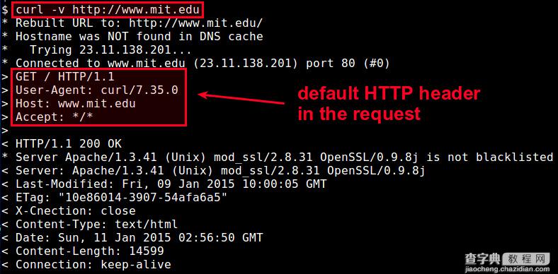 在Linux系统下使用curl自定义HTTP头的方法1