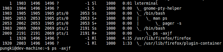 Linux系统中10个常用的ps命令总结10