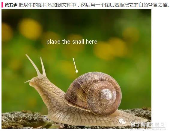 PS合成童话中坐在蜗牛上的小花仙子12