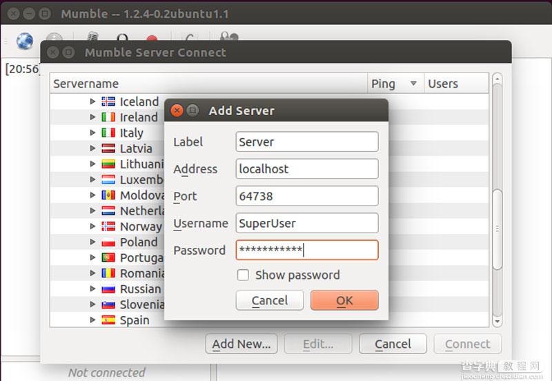 在Ubuntu系统上安装游戏通讯应用Mumble的教程8