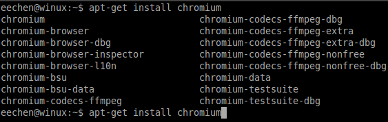 Ubuntu系统上Chromium浏览器的安装教程1