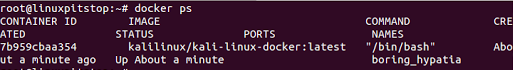 在Docker中安装Kali Linux的教程4