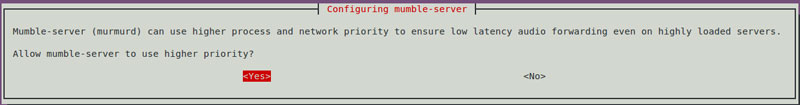 在Ubuntu系统上安装游戏通讯应用Mumble的教程3