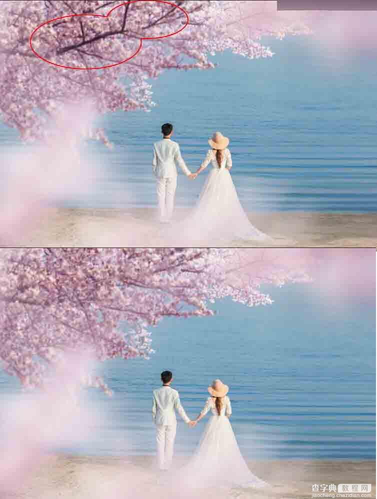 Photoshop合成唯美的樱花树下面朝大海的婚片美景6