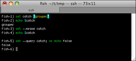 在Mac OS上使用Fish Shell的基础教程3