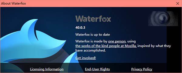 win10通用版火狐浏览器64位 水狐浏览器Waterfox 40.0.3下载1