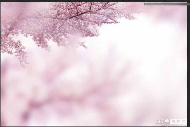 Photoshop合成唯美的樱花树下面朝大海的婚片美景4