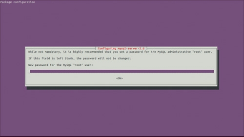 在Ubuntu上安装服务器控制面板Froxlor的教程1